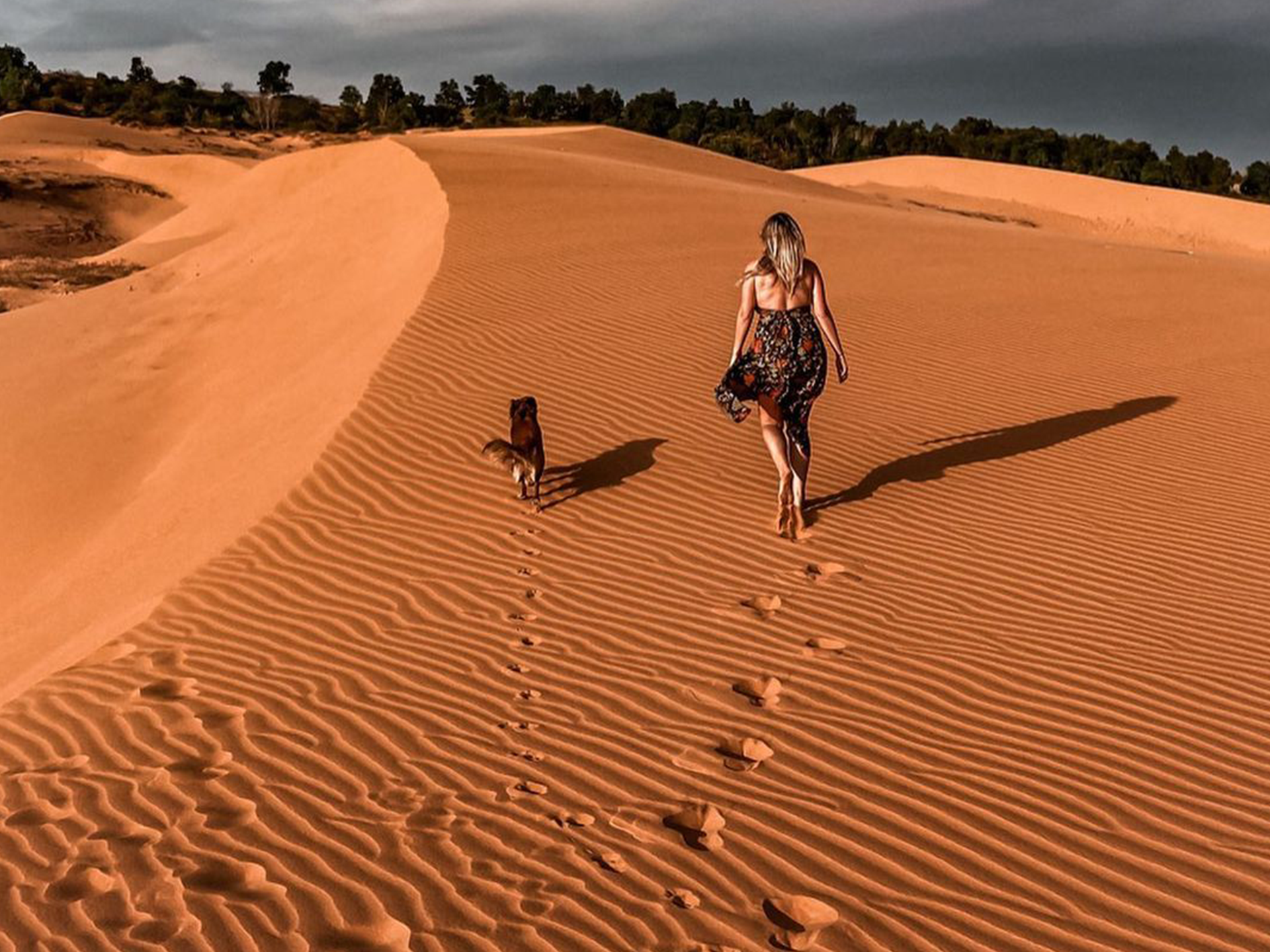 ムイネー砂漠ジープツアー 日の出・日の入りパッケージ（ホーチミン/ニャチャン出発）