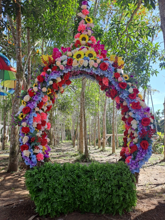 [독점할인] 코타키나발루 봉가완 프리미엄 반딧불 투어 (신축 에어컨룸)
