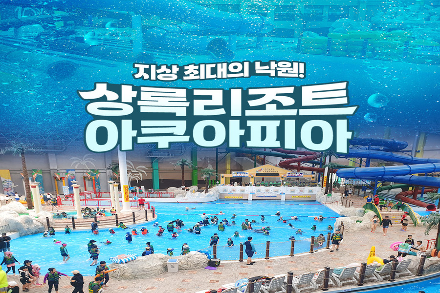 천안 상록리조트 아쿠아피아 입장권