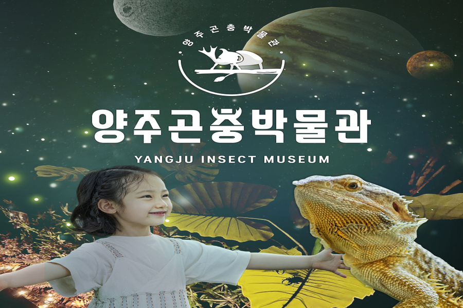 경기 양주 곤충박물관 입장권