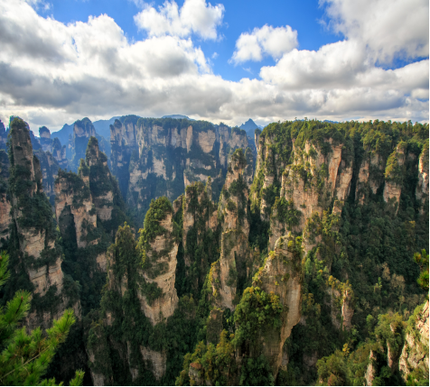 장가계 천문산 & 천자산 & 보봉호수 & 대협곡B코스 2일투어 (호텔픽업)