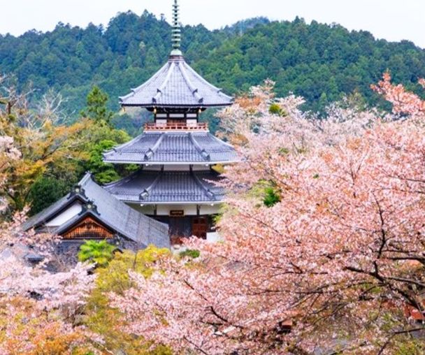 activity_detail_image