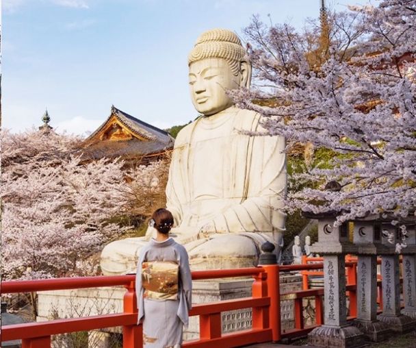 activity_detail_image