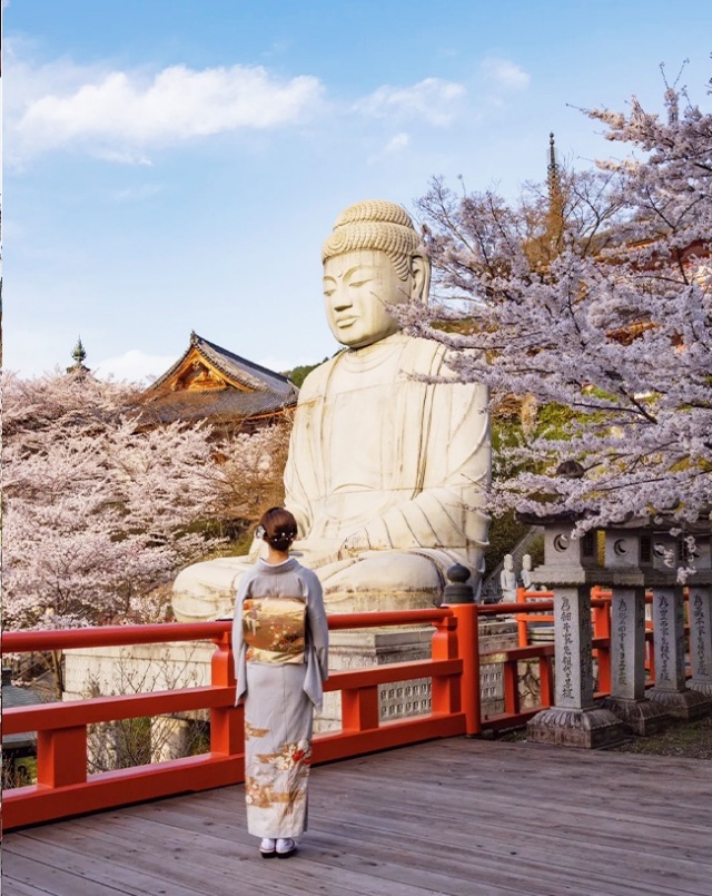 [독점할인] 오사카 출발: 벚꽃 시즌 나라 쓰보사카지, 마타베에 일일 버스 투어