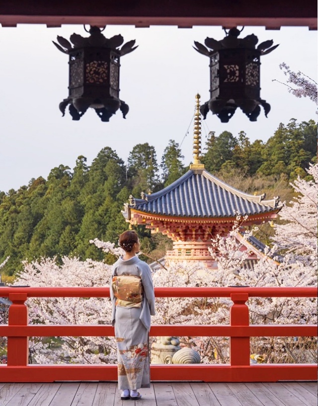 [독점할인] 오사카 출발: 벚꽃 시즌 나라 쓰보사카지, 마타베에 일일 버스 투어