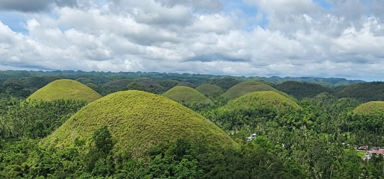 [렛츠고보홀] 보홀 육상 투어 + 선셋 감상 + 디너 뷔페 + 반딧불 투어 + 1시간 마사지 (보홀 라운지, 공항 드랍 포함)