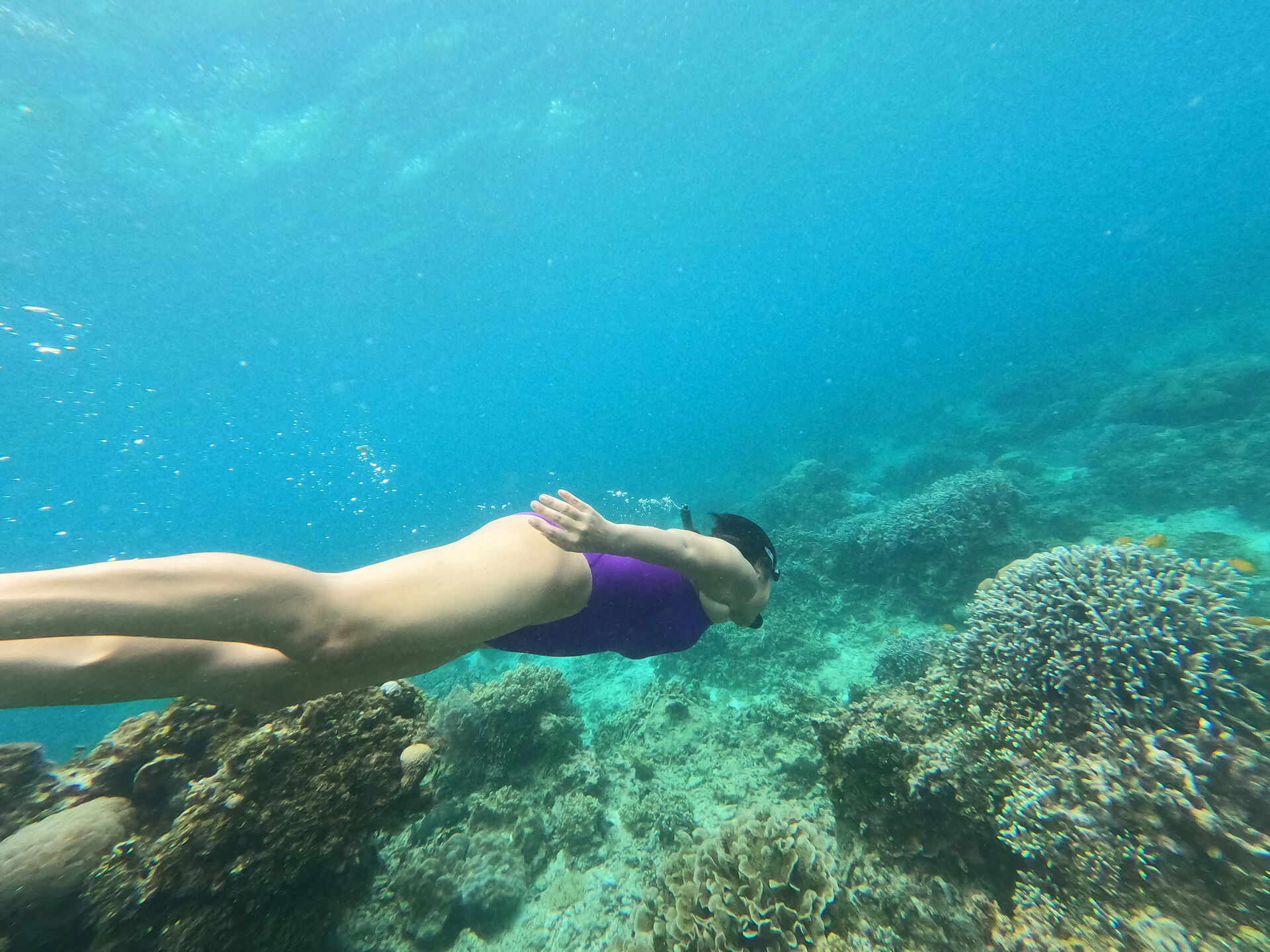 [렛츠고보홀] 보홀 오전 나팔링 & 발리카삭 & 버진아일랜드 먹방 호핑 투어 (씨푸드 점심, 간식)