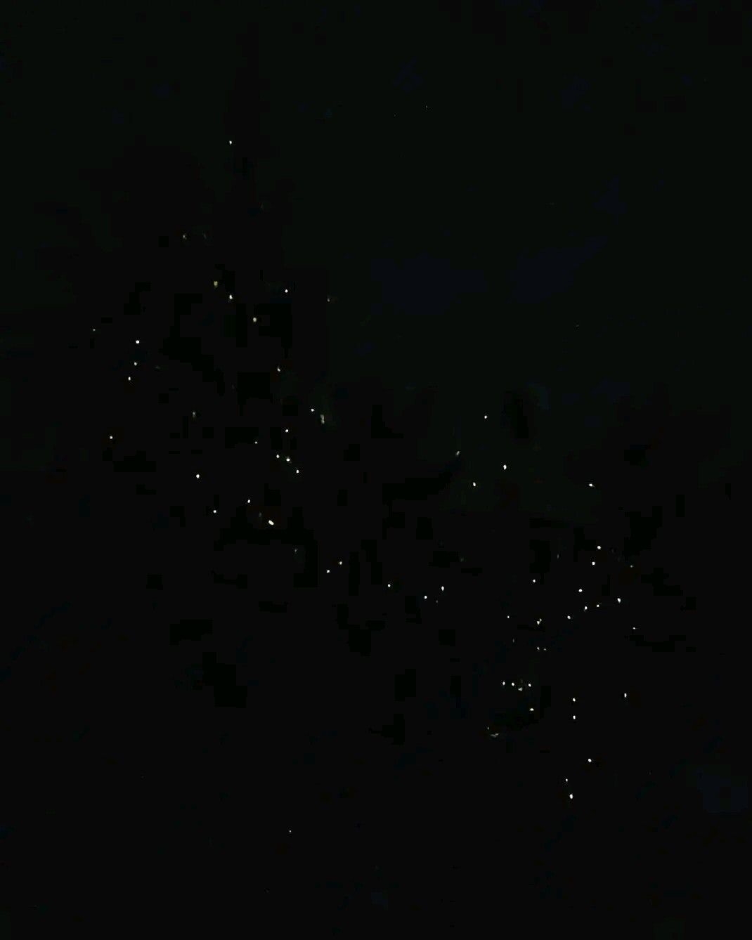 [렛츠고보홀] 보홀 고품격 반딧불 핫플레이스 패스트트랙 투어 (무료 픽드랍, 짐보관 무료)