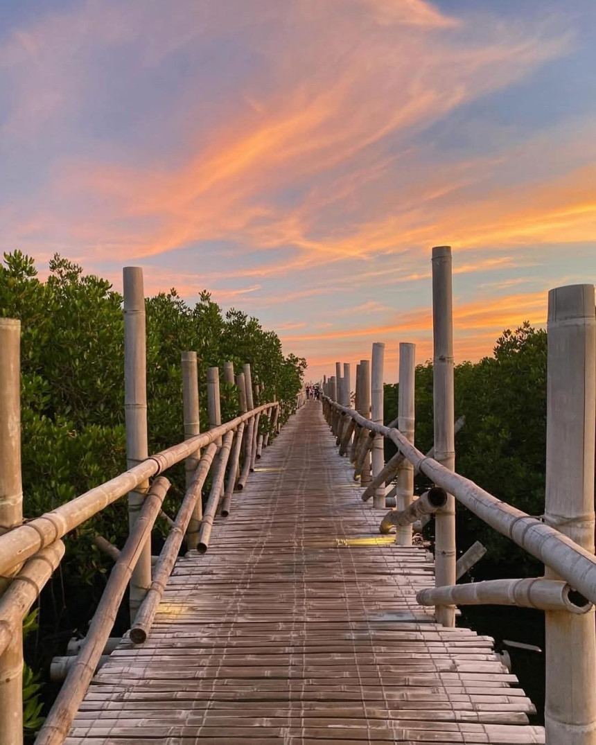 보홀 오셔니카 리조트 데이 유즈 & 노스젠빌라 밤부 브릿지 + 선셋 감상 투어 (무료 라운지/공항 드랍)