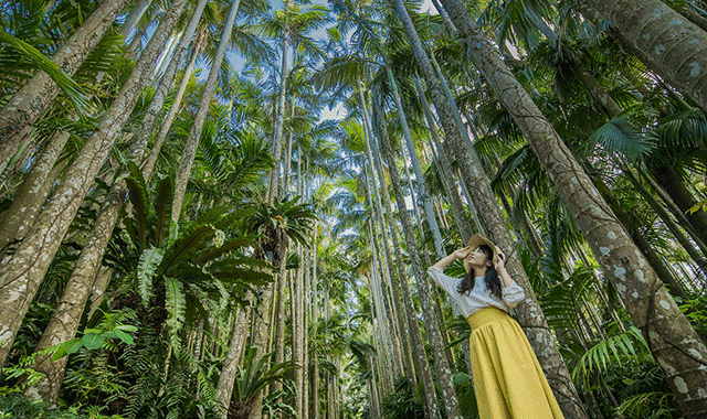 [Exclusive Discount] Okinawa Southeast Botanical Gardens Ticket