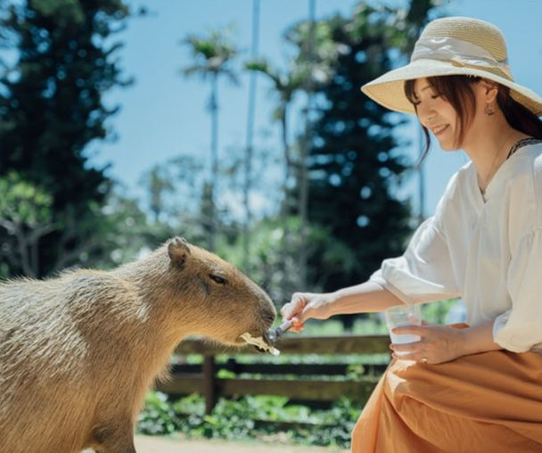 activity_detail_image