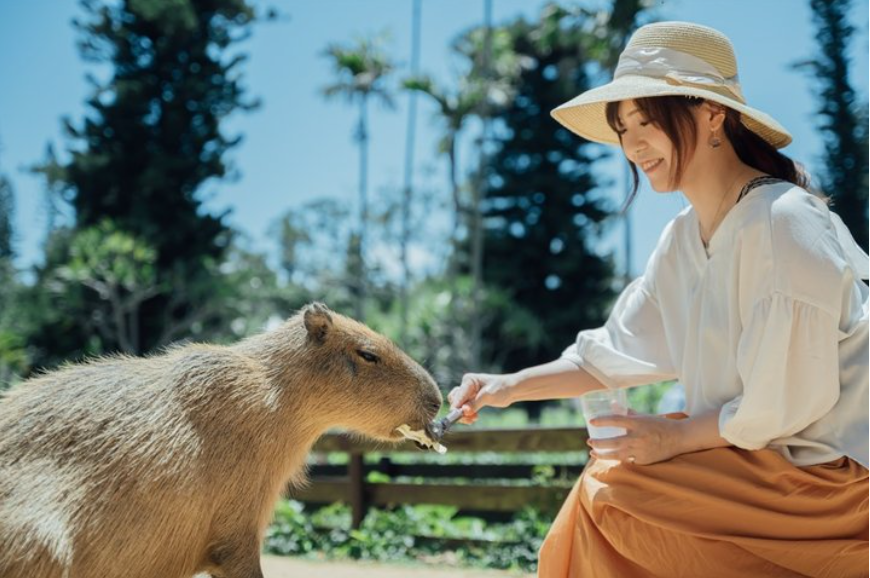 [Exclusive Discount] Okinawa Southeast Botanical Gardens Ticket