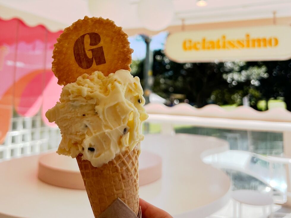 [독점할인] [고호주] 시드니 공항 픽업 & 소그룹 동부투어 + 시드니 대학 캠퍼스