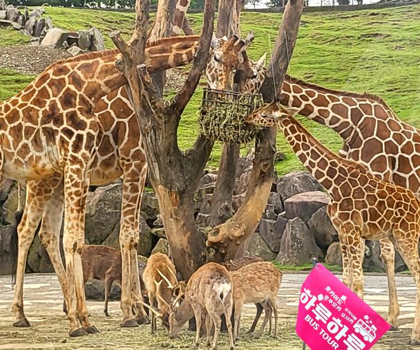 activity_detail_image