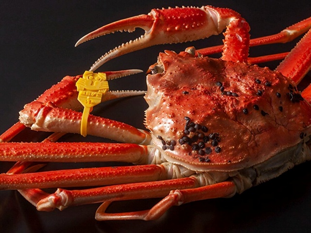 후쿠오카 카니후쿠-8