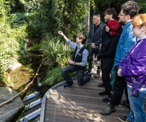 activity_detail_image