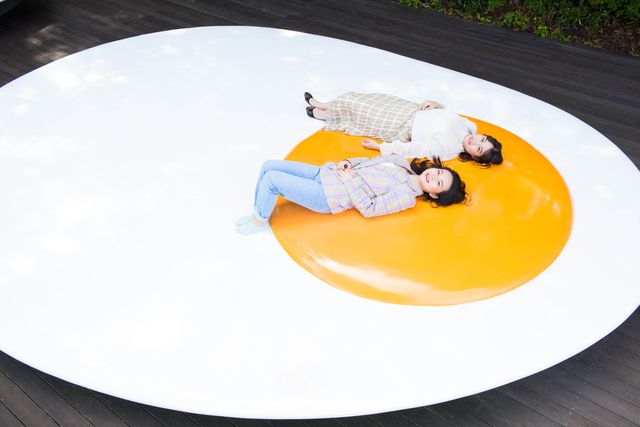 箱根 彫刻の森美術館 入場チケット