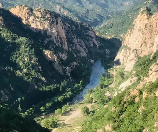 activity_detail_image