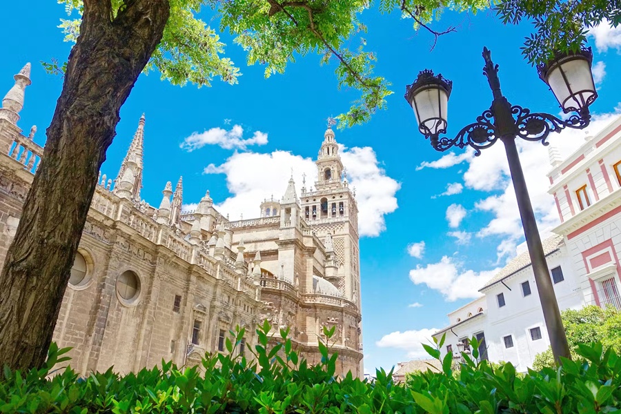 Seville Cathedral, Giralda & El Salvador Church: Priority Entry