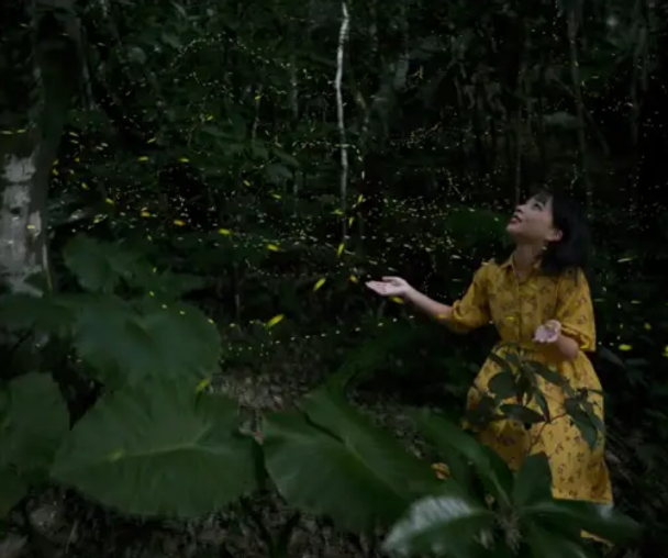 activity_detail_image