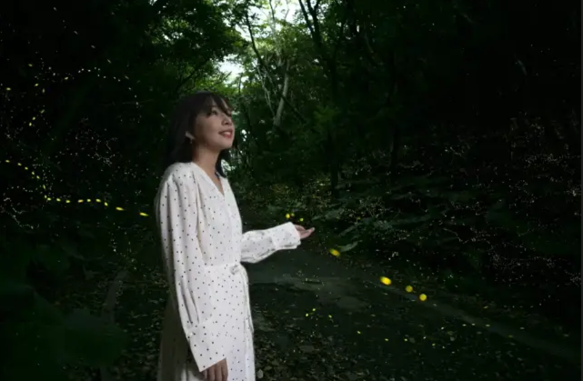 [독점할인] 이시가키 야에야마 반딧불 감상 투어