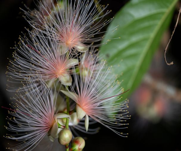 activity_detail_image