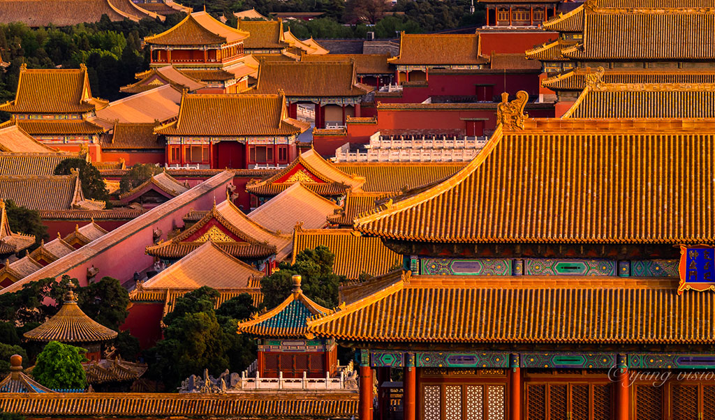 activity_detail_image