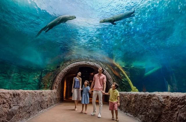 만다이 멀티파크 티켓: 나이트 사파리, 싱가포르 동물원, 리버 원더스, 버드 파라다이스, 레인포레스트 와일드 아시아