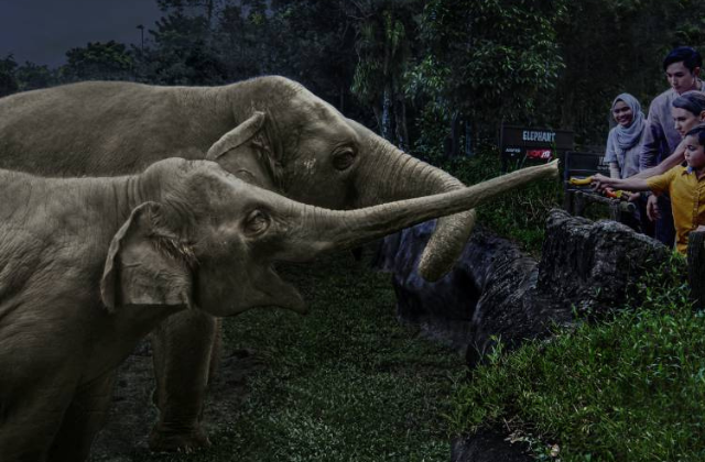 만다이 멀티파크 티켓: 나이트 사파리, 싱가포르 동물원, 리버 원더스, 버드 파라다이스, 레인포레스트 와일드 아시아