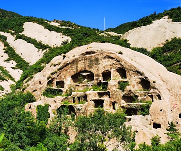 activity_detail_image