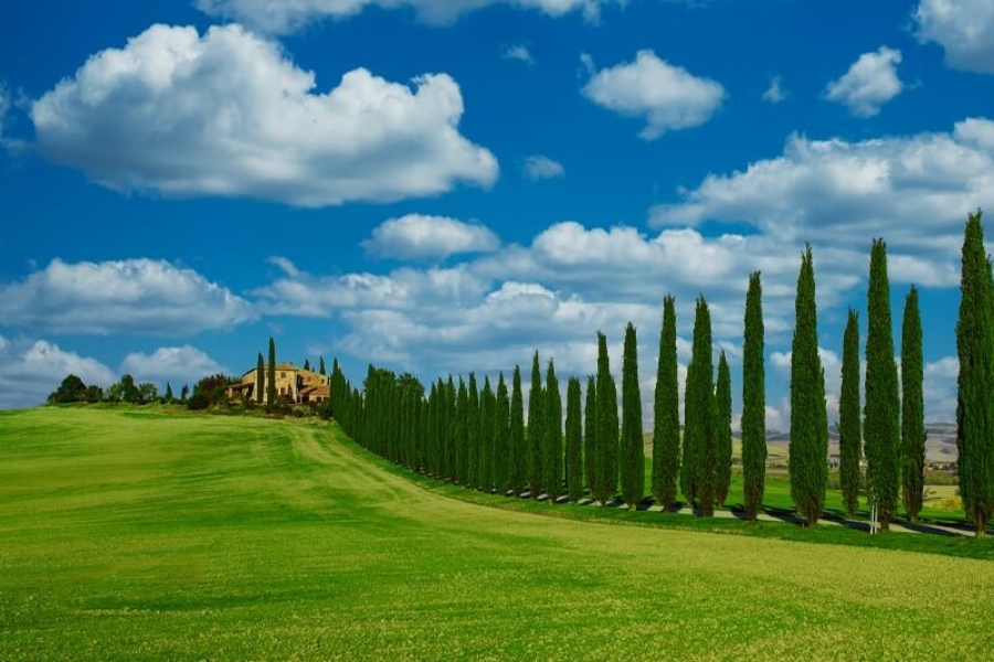 [우노트래블] 로마 출발: 치비따 디 바뇨레죠 & 오르비에또 & 발도르차 & 피엔차 일일 투어 (피렌체 도착)