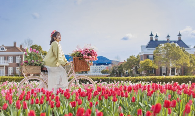 [20% 할인] 후쿠오카 나가사키 하우스텐보스 입장권 (종일 티켓, 애프터 3 티켓)