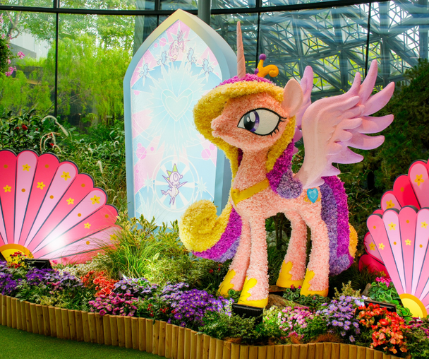 activity_detail_image