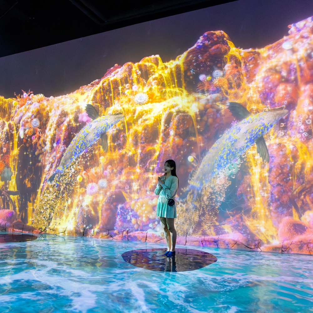 워터월드 제주 입장권