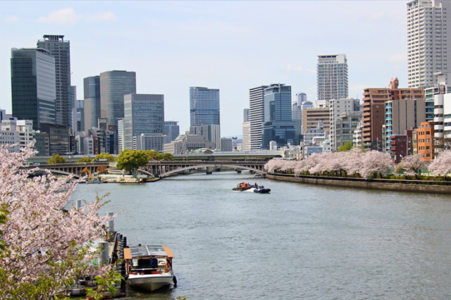 Osaka Okawa River Cherry Blossom Cruise