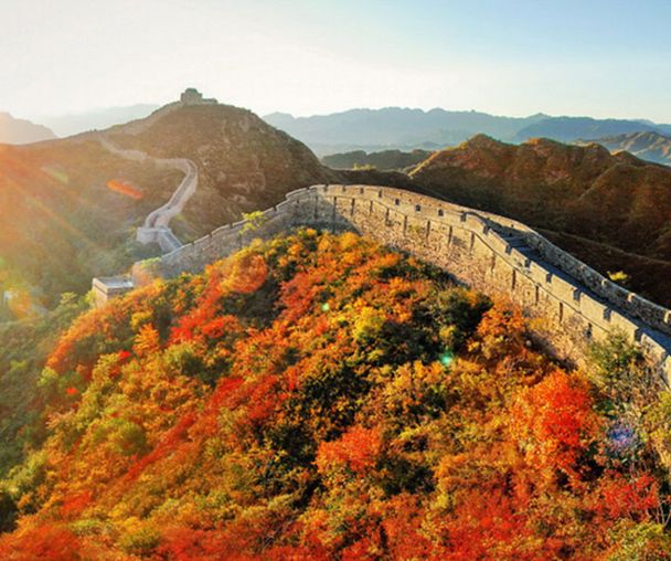 activity_detail_image