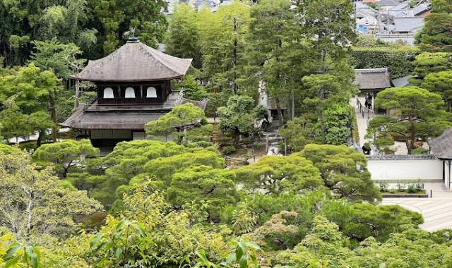 [테라투어] 오사카 출발: 교토 & 나라 소소버스투어 (사슴공원,이온몰,후시미이나리,청수사)