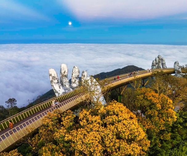 activity_detail_image