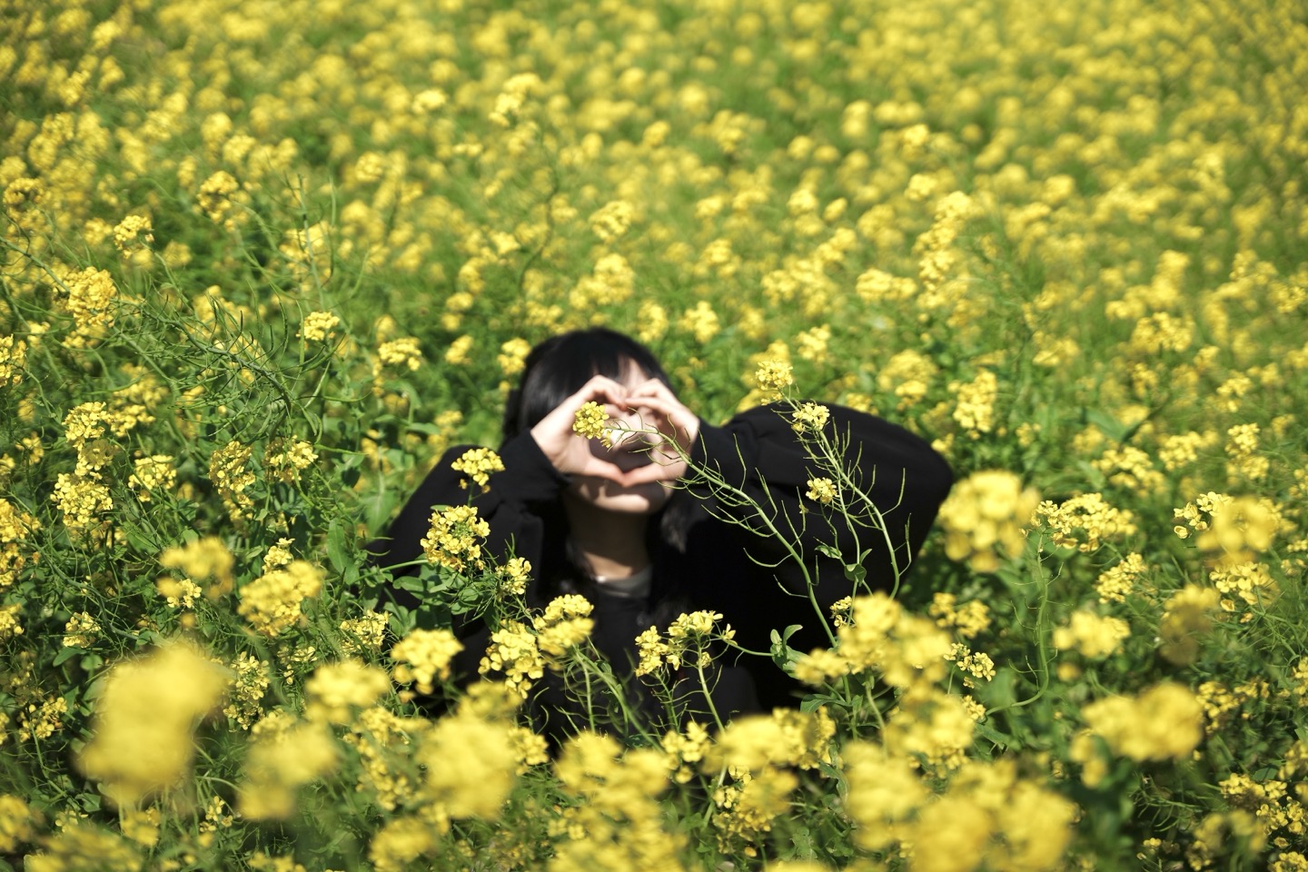 제주 서부 '핫플버스' 일일 버스 감성 투어