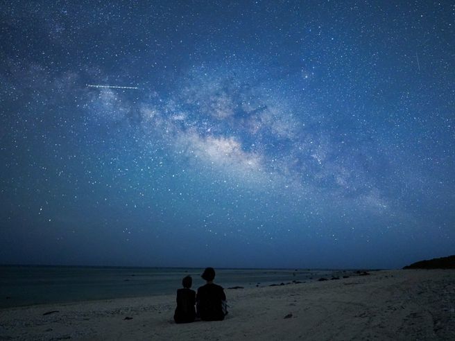 【独占割引】石垣島 星空ジャングルナイトツアー