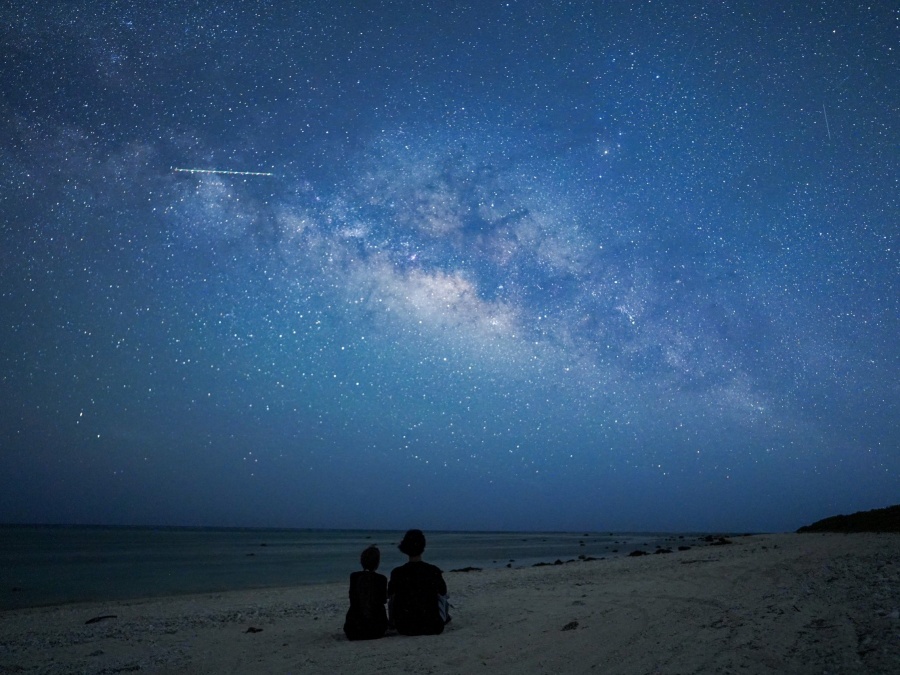 [독점할인] 이시가키 별빛 정글 나이트 투어