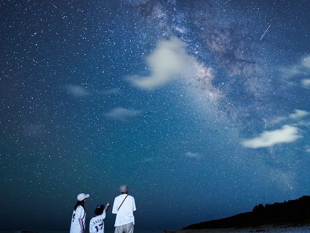 [독점할인] 이시가키 별빛 정글 나이트 투어