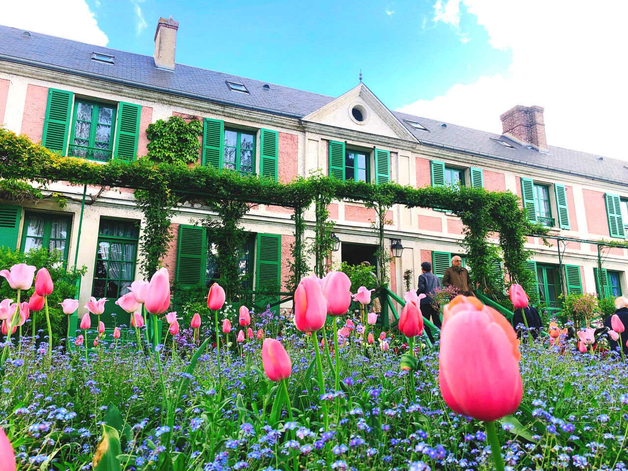 [톡투유] 파리 근교 여행 모네 서거 100주년 명화 집중 투어 (에트르타 + 루앙 + 지베르니)