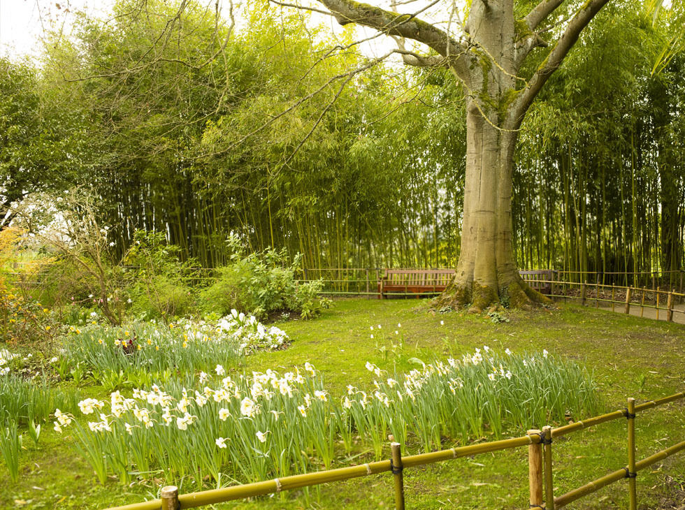 [톡투유] 파리 근교 여행 모네 서거 100주년 명화 집중 투어 (에트르타 + 루앙 + 지베르니)
