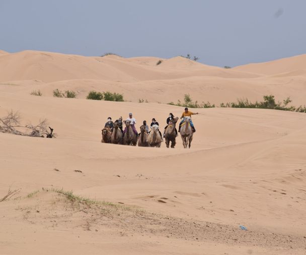 activity_detail_image