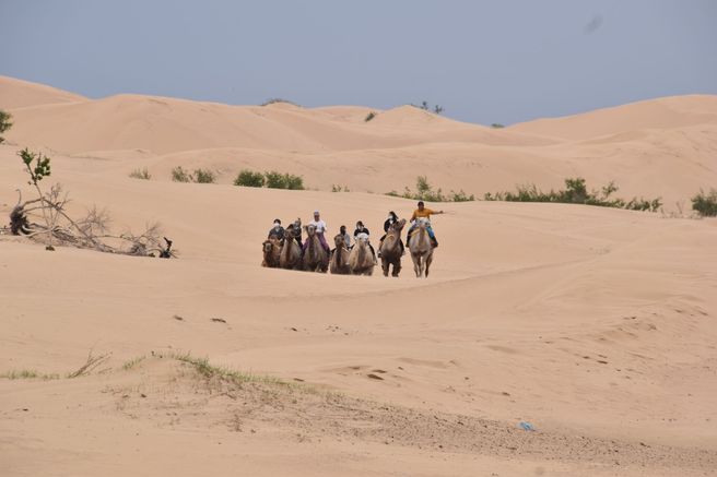 【ハダクツアー】【2泊3日】モンゴル会社員におすすめ!短くても充実した日程ツアー