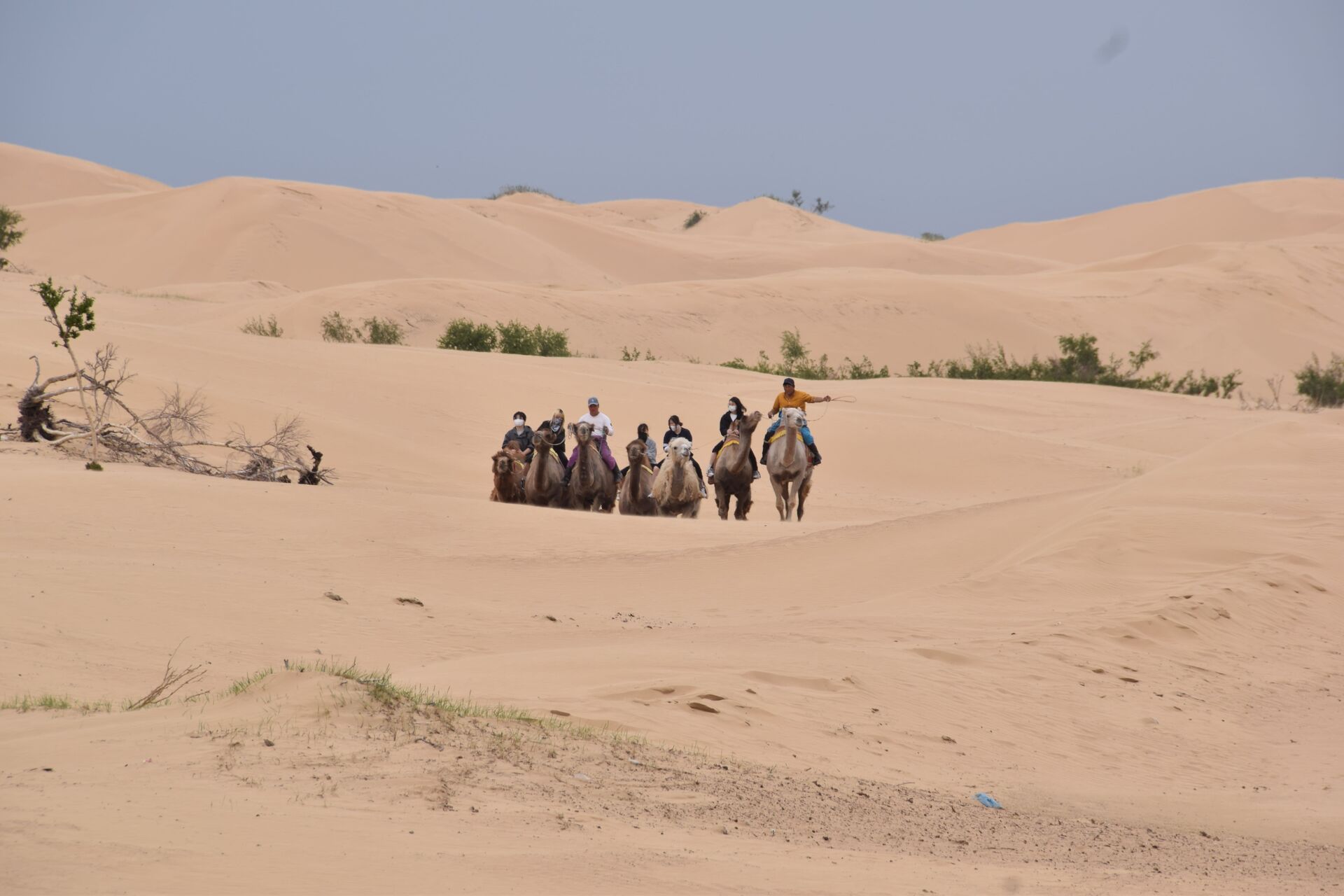 [하닥투어] [2박3일] 몽골 직장인 추천! 짧지만 알찬 일정 투어