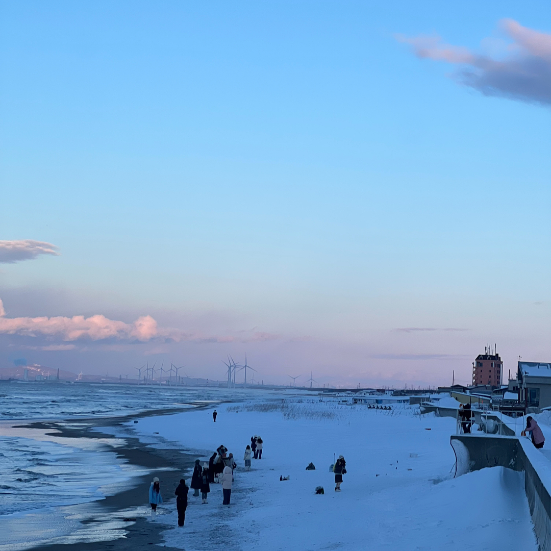 [독점할인] [하루하루투어] 삿포로 출발: 오타루 & 샤코탄 일일 투어  시로이고이비토)