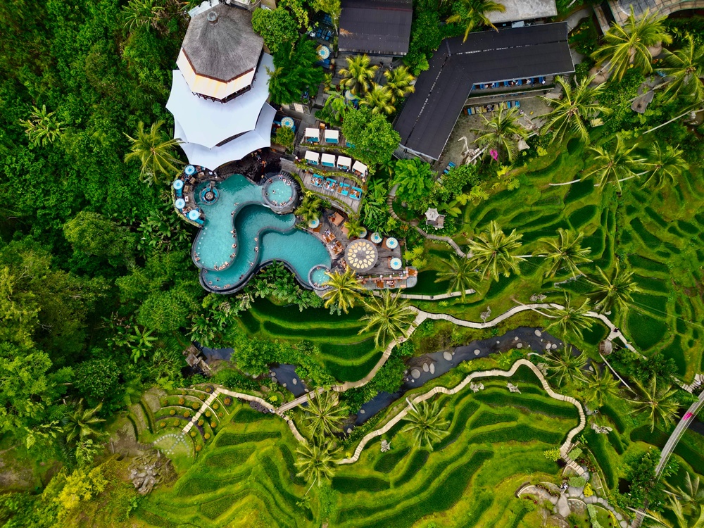 バリ クレティア ウブド プライベート1日ツアー(寺院、ライステラス、ジャングルスイング)