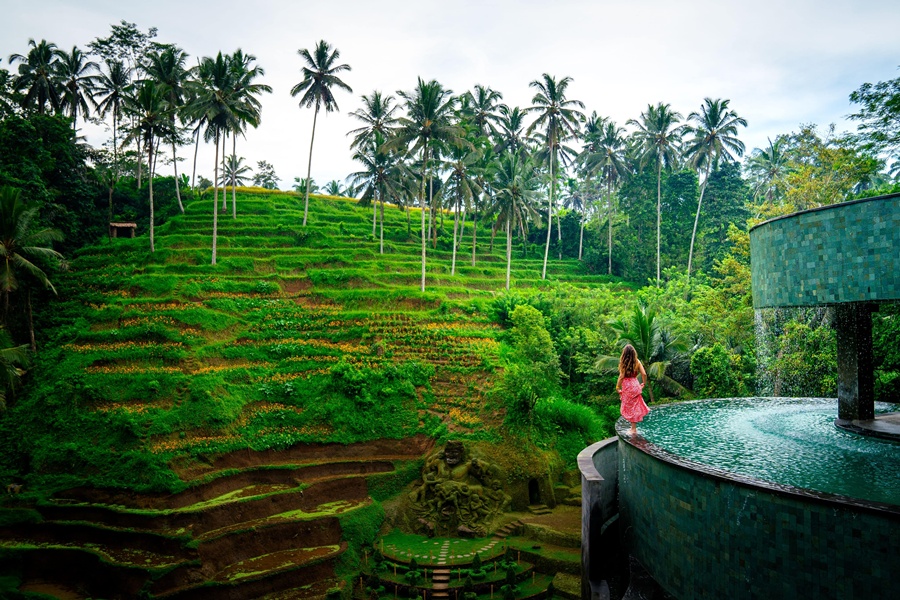 バリ クレティア ウブド プライベート1日ツアー(寺院、ライステラス、ジャングルスイング)